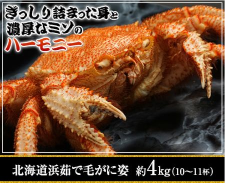 かに本舗：北海道浜茹で毛蟹姿 約４kg（１０～１１杯）