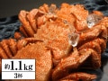 かに本舗：北海道浜茹で毛蟹姿約 １.１kg（３杯）